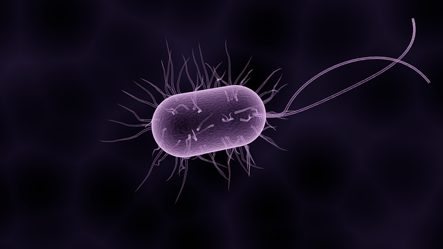 Bacterial Zoonoses: Classification, Diagnosis and Control